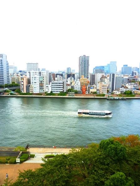 中央区佃１丁目のマンション
