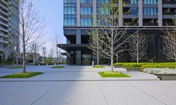 シティタワー有明
