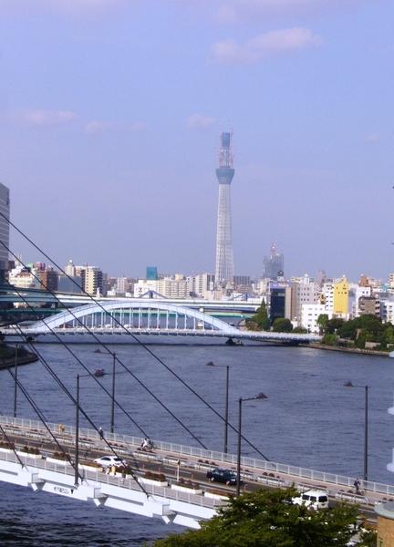 中央区佃１丁目のマンション