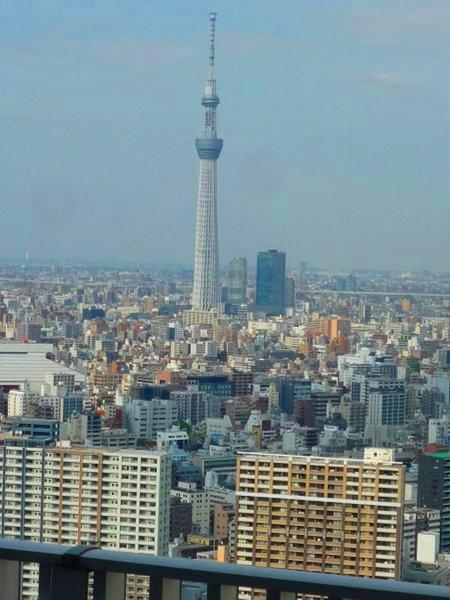 中央区日本橋浜町３丁目のマンション