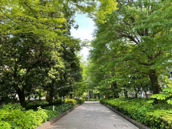 中央区日本橋浜町２丁目のマンション