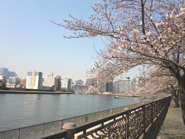 中央区佃１丁目のマンション