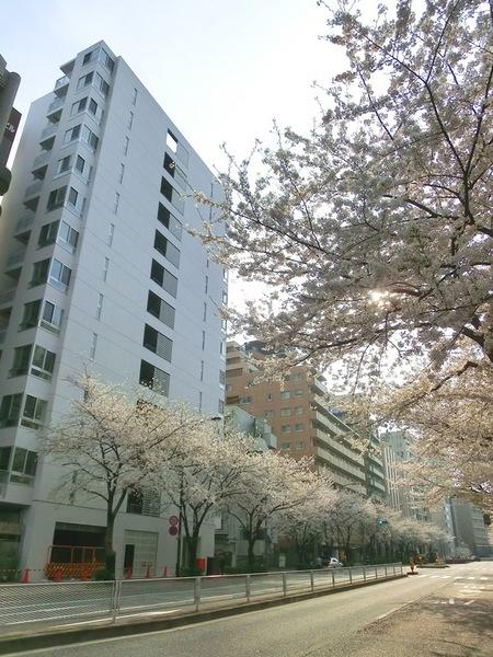 グランディオール広尾テラス