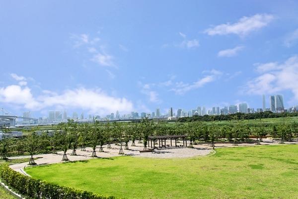 江東区有明１丁目のマンション