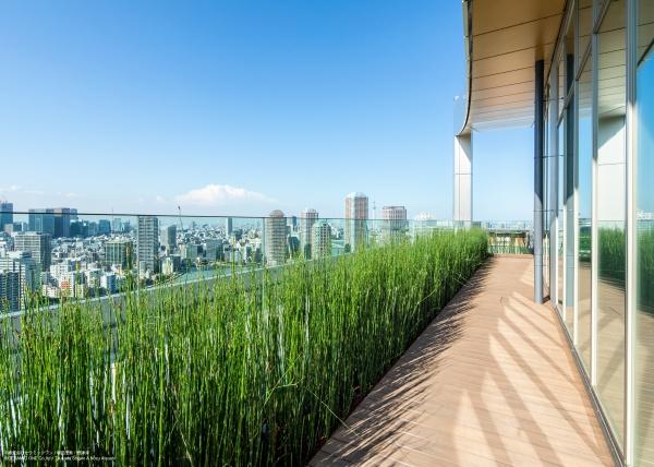 中央区月島１丁目のマンション