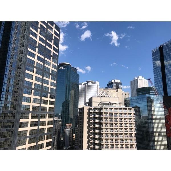 新宿区西新宿５丁目のマンション