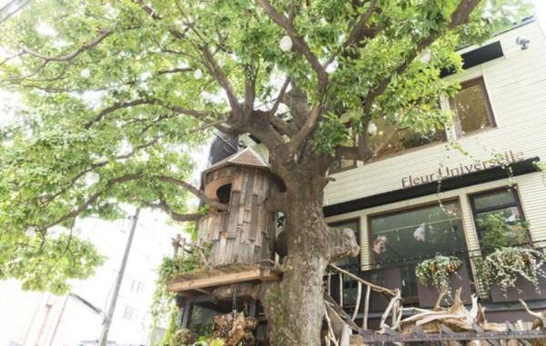 港区南麻布４丁目のマンション