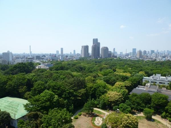 港区白金台３丁目のマンション