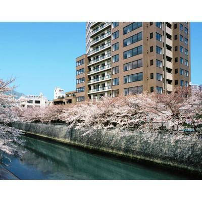 目黒区目黒１丁目のマンション