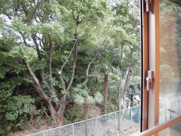 港区高輪３丁目のマンション