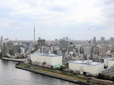 中央区佃２丁目のマンション