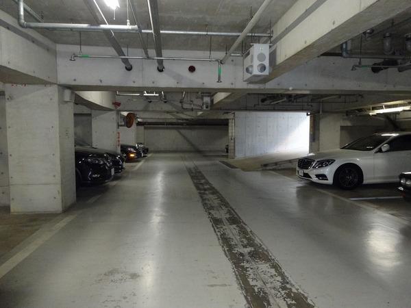 中央区日本橋中洲のマンション