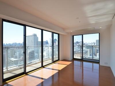 中央区湊３丁目のマンション