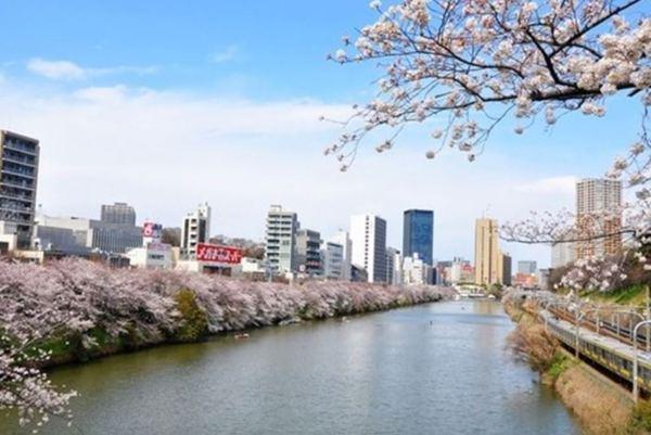 リンデンコート市ヶ谷