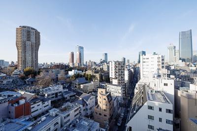 港区南麻布１丁目のマンション