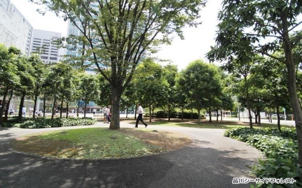 品川区東品川3丁目のマンション(品川シーサイドフォレスト)
