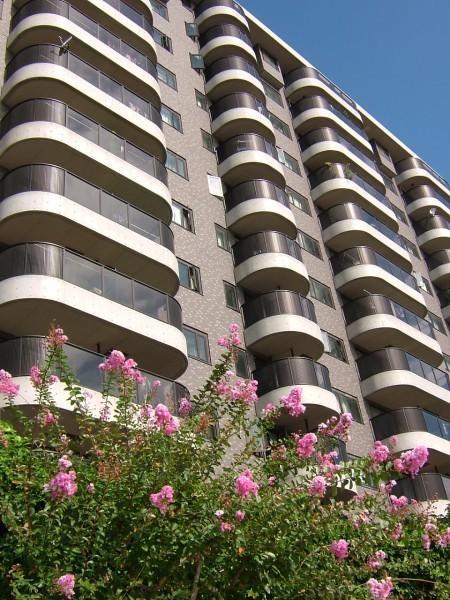中央区日本橋中洲のマンション