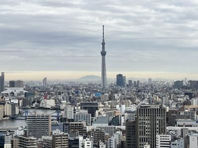中央区佃２丁目のマンション