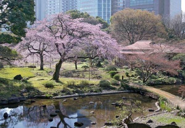 文京区本郷１丁目のマンション