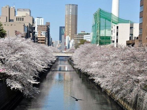 品川区西五反田３丁目のマンション