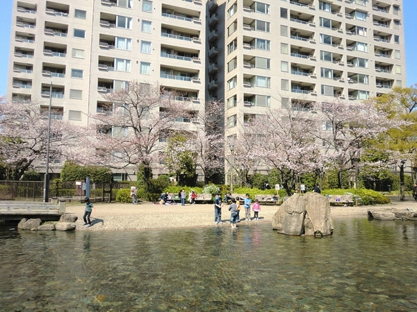 中央区佃１丁目のマンション