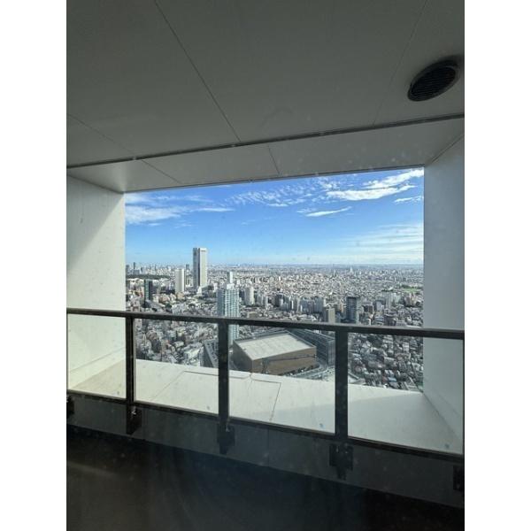 ザ・パークハウス西新宿タワー60