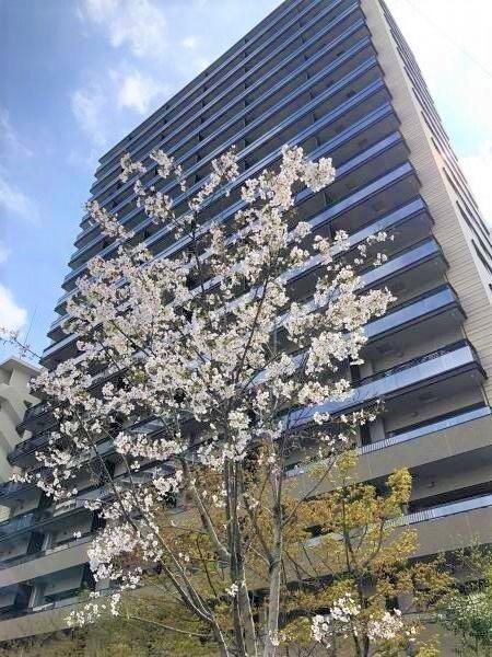 品川区西五反田３丁目のマンション