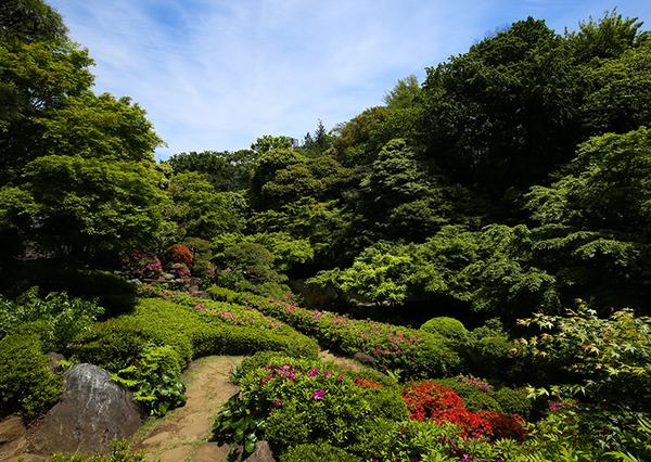 ディアナコート池田山公園