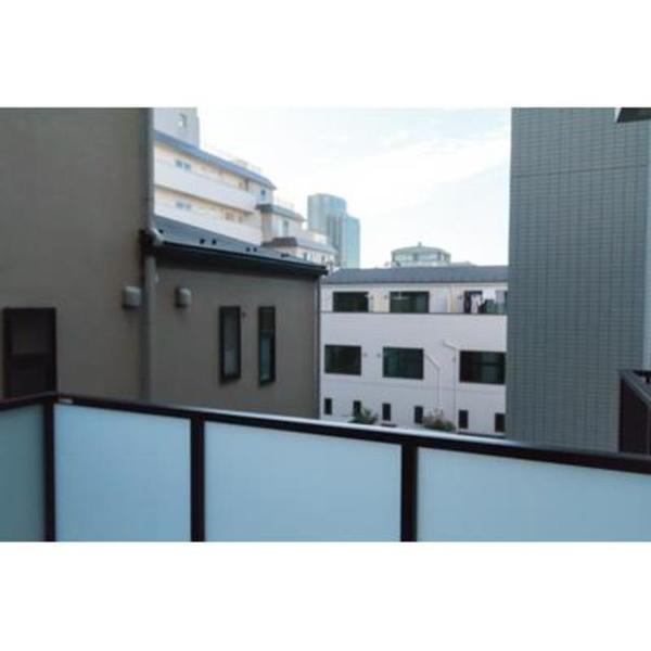 REX白金(現地からの眺望)