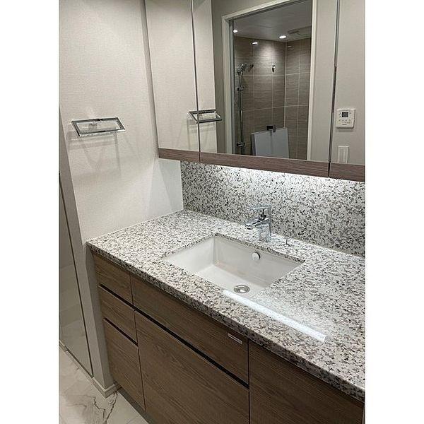 ザ・パークハウス三田ガーデン タワー棟(洗面台・洗面所)