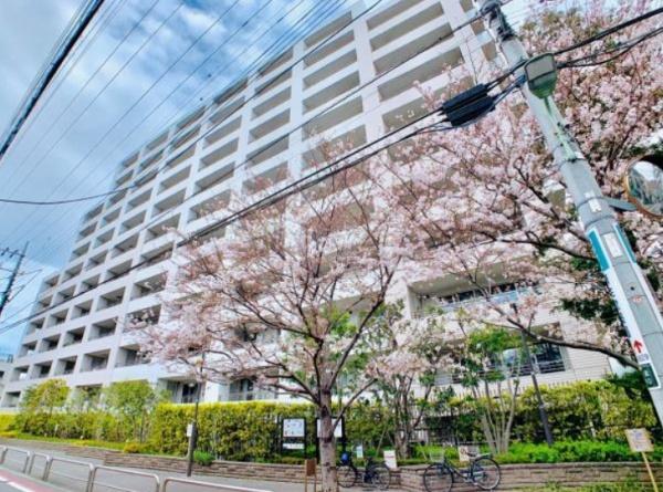 ブリリア品川中延