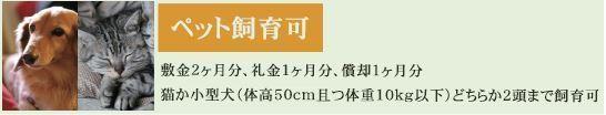Blooming西麻布
