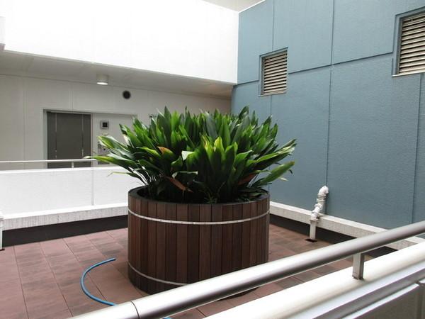 ルシマン月島(その他共用部分)