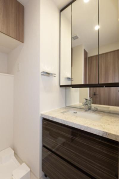 レガシス中目黒(洗面台・洗面所)