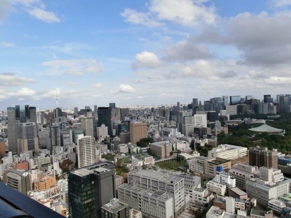 パークコート千代田富士見ザタワー(現地からの眺望)