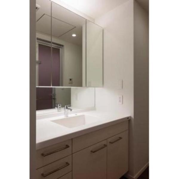 パークコート千代田富士見ザタワー(洗面台・洗面所)