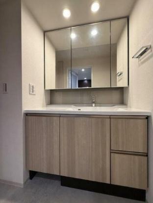 ブランズ本郷(洗面台・洗面所)