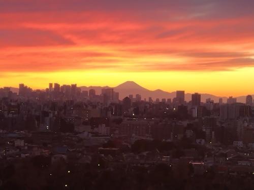 日暮里アインスタワー(現地からの眺望)