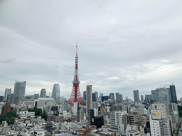 レジディアタワー麻布十番(現地からの眺望)