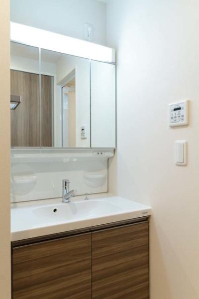 ルミレイス豊洲(洗面台・洗面所)