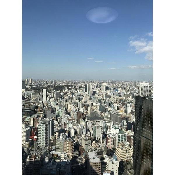 ワテラスタワーレジデンス(現地からの眺望)