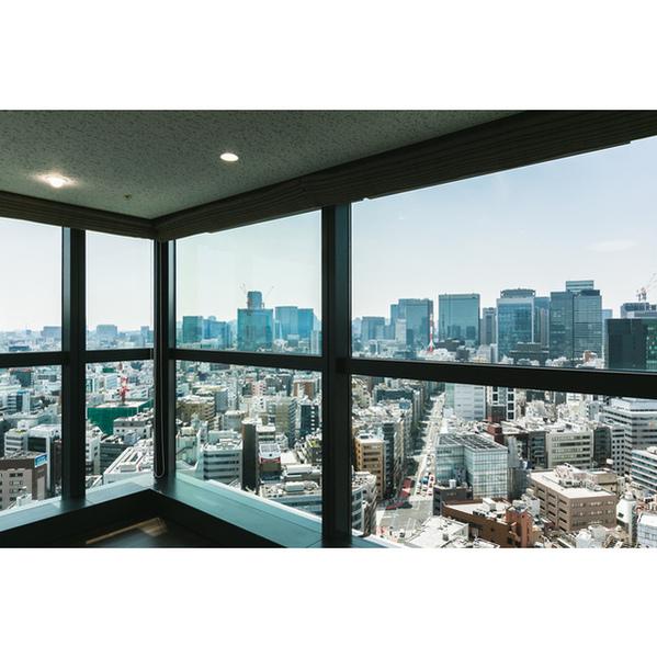 ワテラスタワーレジデンス(現地からの眺望)