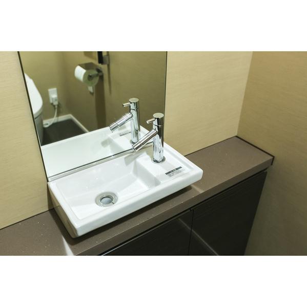 ワテラスタワーレジデンス(トイレ)