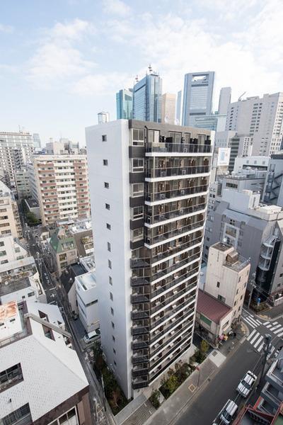 BelleVue 新橋(現地からの眺望)