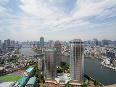 リバーシティ21イーストタワーズ2(現地からの眺望)