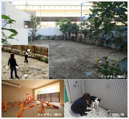 コンフォリア芝浦バウハウス