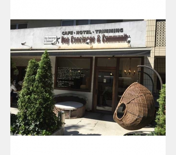 コンフォリア芝浦バウハウス