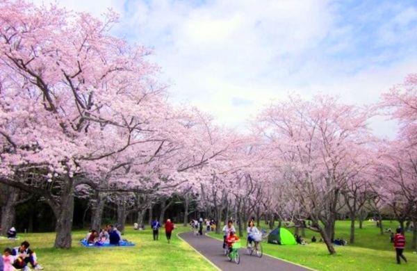 プレミアブラン代々木公園