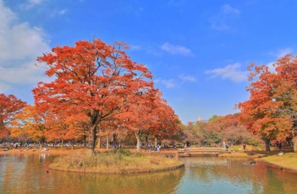 プレミアブラン代々木公園