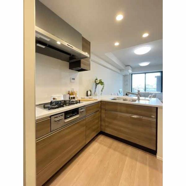 ブランズ牛込柳町